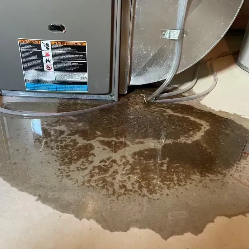 Appliance Leak Cleanup in Washington, IL